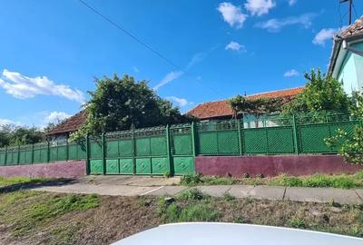 Casă cu 6 camere cu Teren 4200 Mp în Craiva - 4
