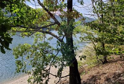 Teren intravilan cu deschidere la lacul Tarnita - 4