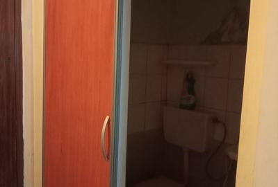 Garsonieră decomandată în Noua - 3