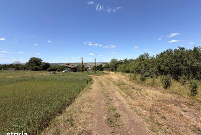Teren de 2900 mp, în Jucu