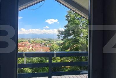 Casă cu 4 camere cu Teren 6500 Mp în Ucea - 3