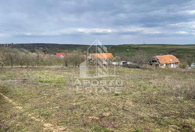 Teren Construcții intravilan de 2896 mp, în Herneacova - 3