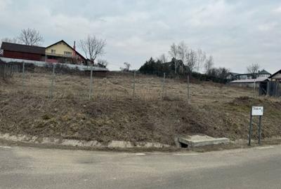 Teren agricol intravilan de 1600 mp, în Tăuții-Măgherăuș - 2