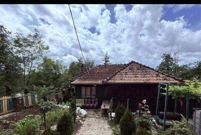 Casă cu 4 camere în Bertea