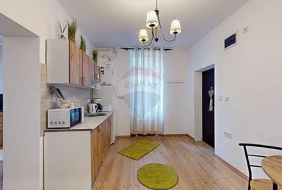 Apartament cu 1 camere nedecomandat, mobilat în Centrul Istoric - 6