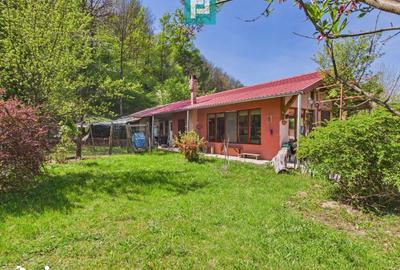 Casă cu 5 camere cu Teren 8000 Mp în Sânmartin - 8