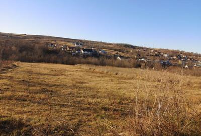 Spațiu comercial, în Uricani - 5