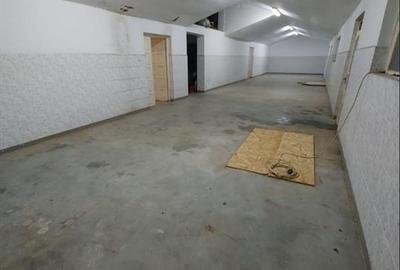 Hala de 800 mp cu teren de 1600 mp in Ineu de Cris Bihor. - 2