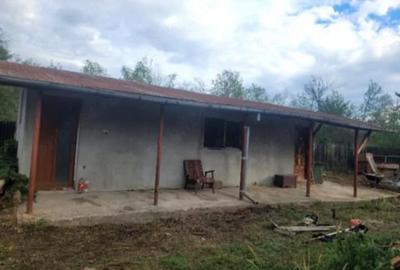 Casă cu Teren 1359 Mp în Lipănești - 6