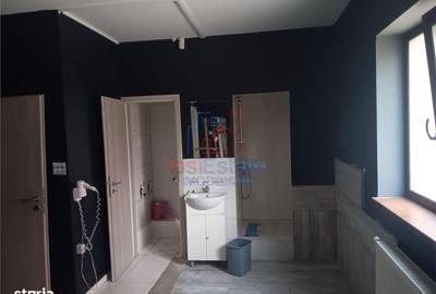 Spațiu comercial, de 403 mp, în Lunca Cetățuii - 8