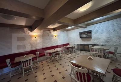 Spatiu comercial pe 2 niveluri, 230 mp, zona semicentrala - 10