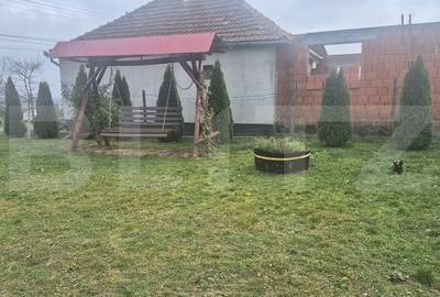 Casa cu 2 camere, 65 mp, teren 2910 mp, in Viile Satu Mare - 20