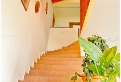 Casa S+P+M de vanzare – teren 1.500 mp, zona linistita, Stupini - 6