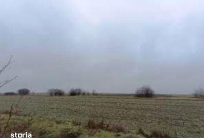Teren de 6000 mp, în Ciocârlia - 9