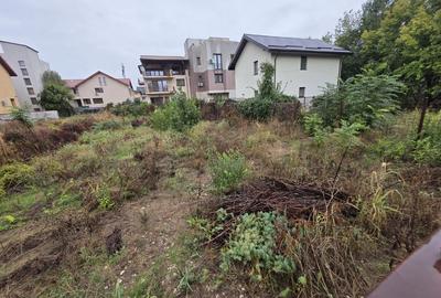 Nicolae Grigorescu, chiar la pasajul peste Splaiul Unirii, in planul 2 - 12