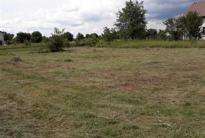 Teren de 960 mp, în Cornetu