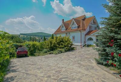 Casă individuală cu 12 camere în Moacșa - 5