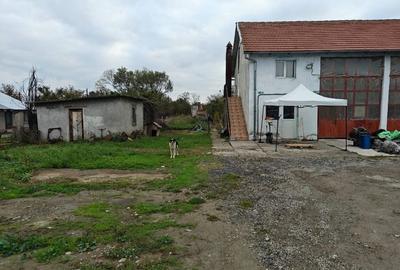 Hală pentru activități diverse/teren 5000 m² Hală pentru activități diverse/teren 5000 m² - 2