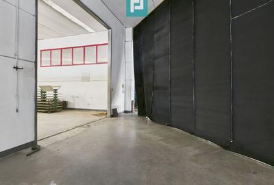 Hală de producție, cu birouri și teren, în Sebiș - 19