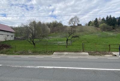 Spațiu comercial, în Mureșenii Bârgăului - 3