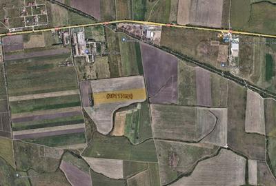 Teren Sacalaz 3,6 Ha - Pretabil PUZ Locuinte - 2