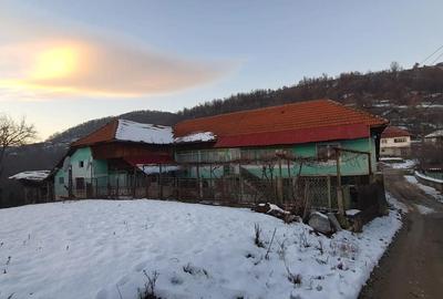 Casă cu 5 camere cu Teren 1000 Mp în Sohodol - 1