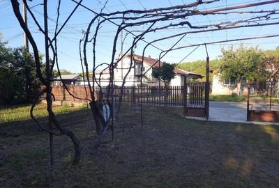 Teren si casa batraneasca in Dumbravesti, Prahova - 6