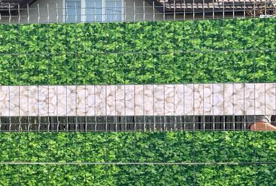 Casă individuală cu 4 camere cu Teren 631 Mp în Cojești - 4