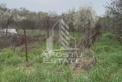 Casă unifamilială în Remetea Mare  cu teren de 3383 mp. - 13