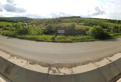 Teren de 1600 mp, în Copou - 3