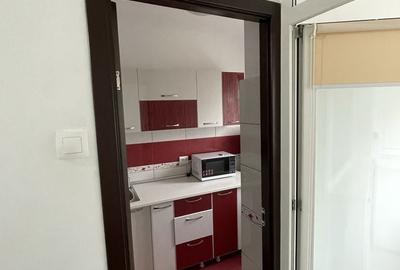 Garsonieră semidecomandată, mobilată în Dristor - 5