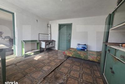 Casă cu 4 camere cu Teren 1210 Mp în Valea Crișului - 6