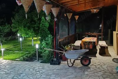 Casa de vanzare Cazasu Braila - 5