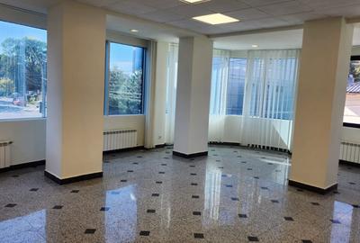 Spațiu comercial, de 1,200 mp, în Dămăroaia - 4