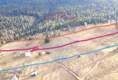 Teren Construcții intravilan de 26232 mp, în Dorna-Arini - 3