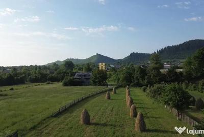 Teren de 10304 mp, în Slatina - 7