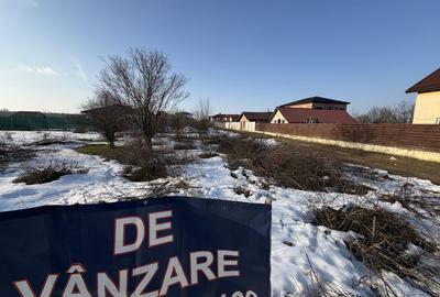 Spațiu comercial, în Domnești - 1