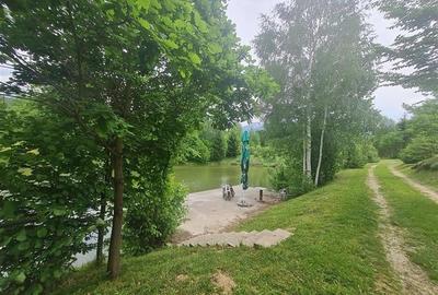 Refugiu idilic cu oglinda de apa,panorama montana,Glajerie/Rasnov,ideal mini res - 25