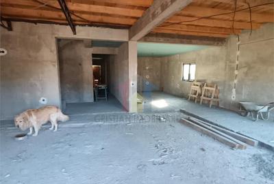 Vila P M, 2022 Radu Negru-Vizirului Sup construita=400mp, T - 16