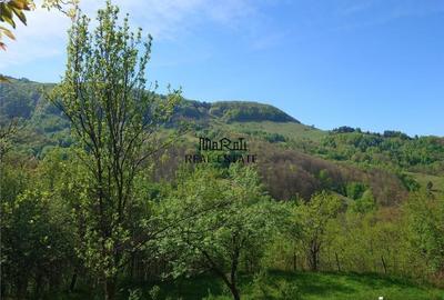 Teren intravilan si cladire in Apuseni, Blajeni, Hd - 1