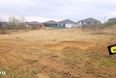 Spațiu comercial, în Paleu