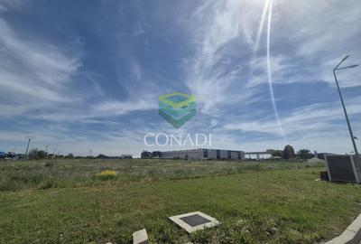 Teren Construcții intravilan de 30994 mp, în Bolintin-Deal - 3