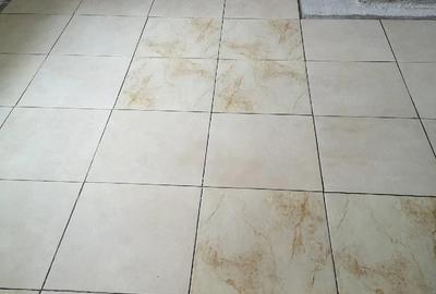 Casă cu 5 camere cu Teren 4700 Mp în Central - 3