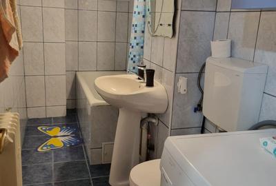 Apartament cu 2 camere decomandat în Lotrioara - 6