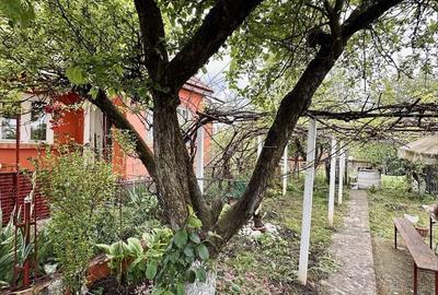 Casă cu 3 camere în Miheșu de Câmpie - 2