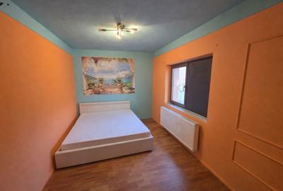 Apartament cu 3 camere decomandat în Tilișca - 4