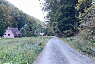 Teren de 2482 mp, în Ciupercenii Noi - 2