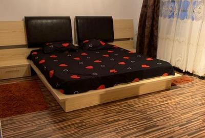 Apartament cu 2 camere în Paltiniș
