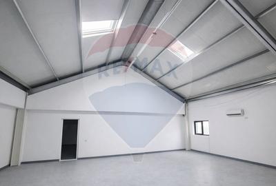 Hala 700mp, deschidere 9m, poductie, depozitare Pipera Plaza - 5