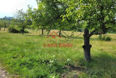Casă cu Teren 1490 Mp în Voila - 2